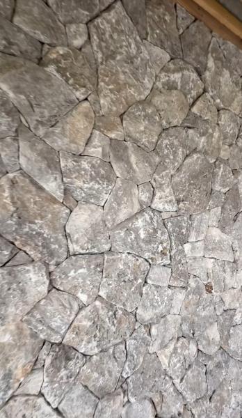 Rock Face